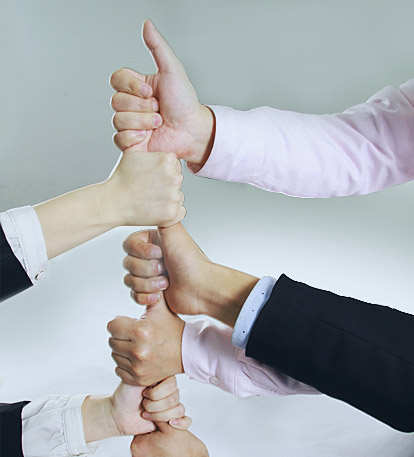 9001cc金沙以诚为本(中国)有限公司官网