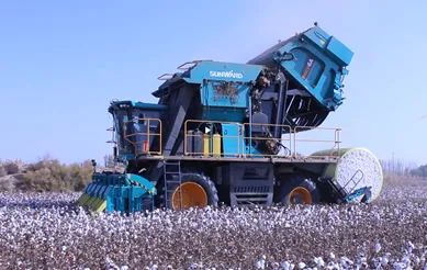 科技赋能农业强国建设！9001cc金沙以诚为本智能这小我私家工智能项目入选《湖南省“数字新基建”100个标记性项目名单》