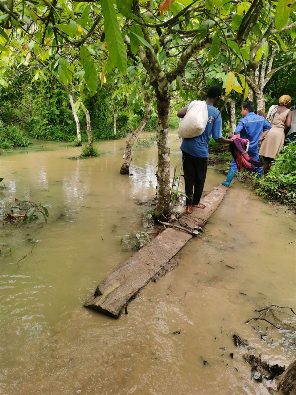 品质9001cc金沙以诚为本，，，，，，，，专心折务！9001cc金沙以诚为本智能效劳万里行活动走进非洲加纳